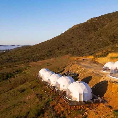 Domoss Valle Valle de Guadalupe Dış mekan fotoğraf